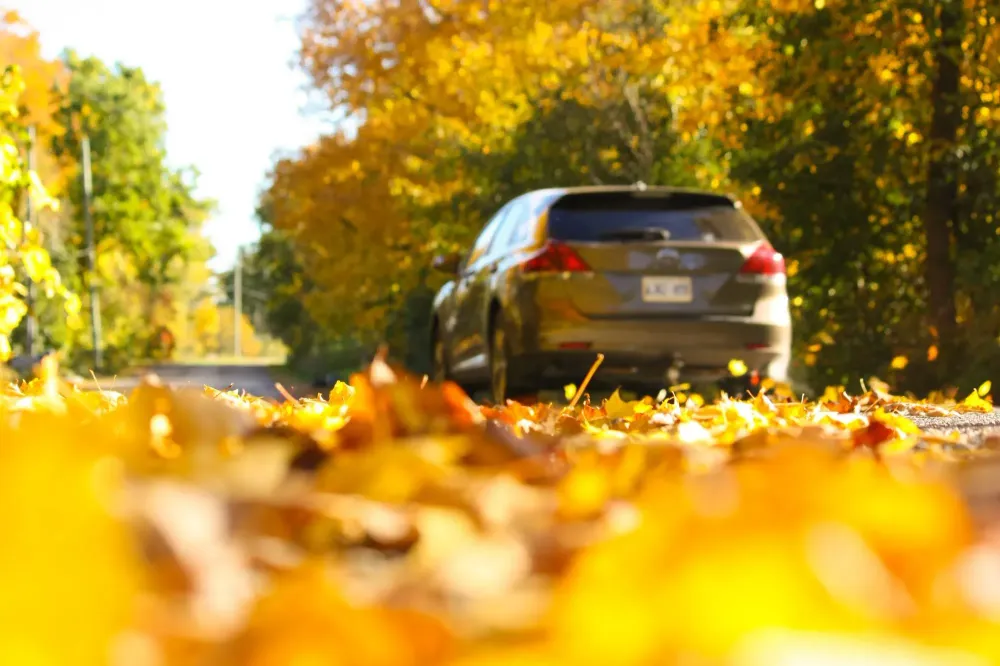 Car driving down autumn street